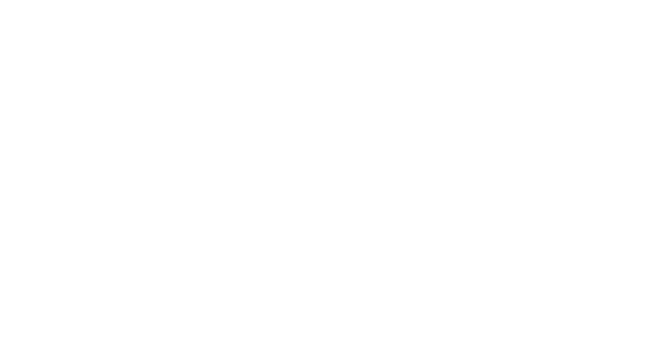 MH Consulting & Ventures GmbH